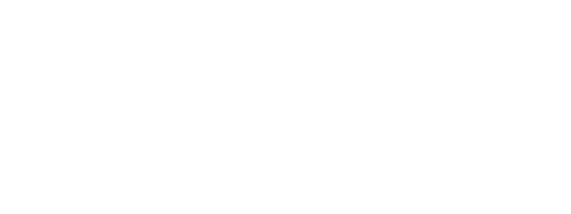 EURO FLY INTERNATIONAL